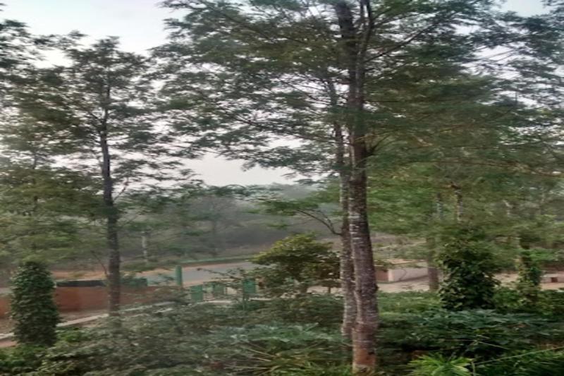 Nikhara Estate Resorts Kodlipet Exterior photo